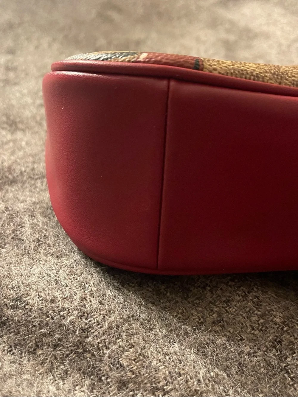 Coach Cherry-Print Mini Shoulder Bag in Brown and Red